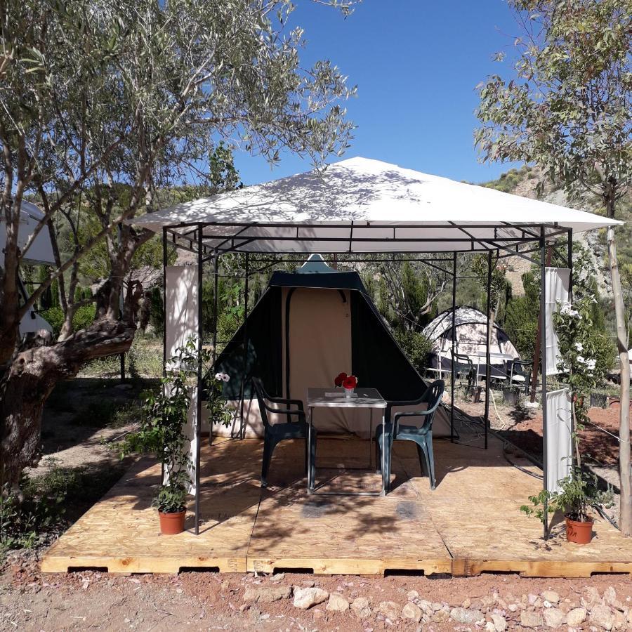 Pachamama Ecocamping *