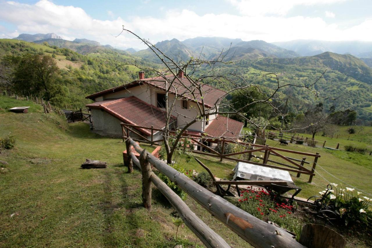 Сasa de vacaciones Casa Campu 2