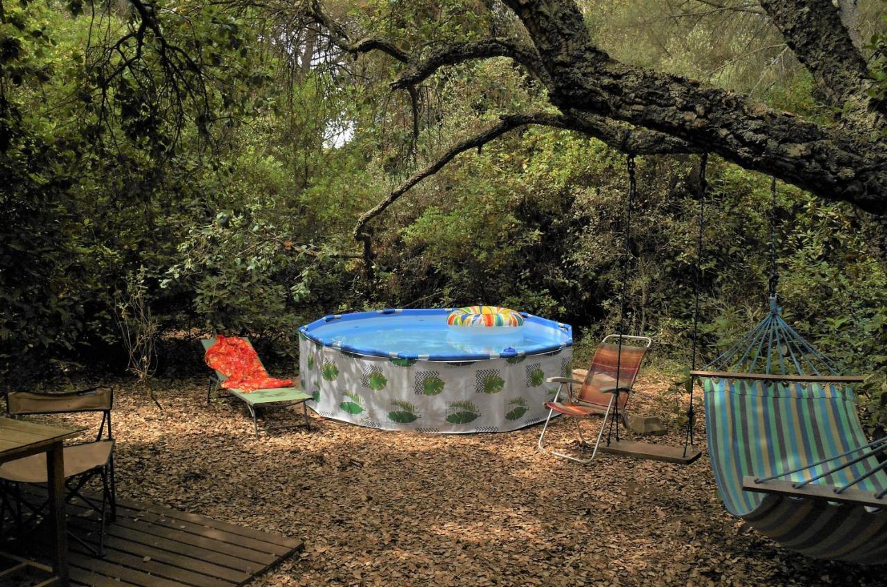 La Del Alcornoque Holiday home