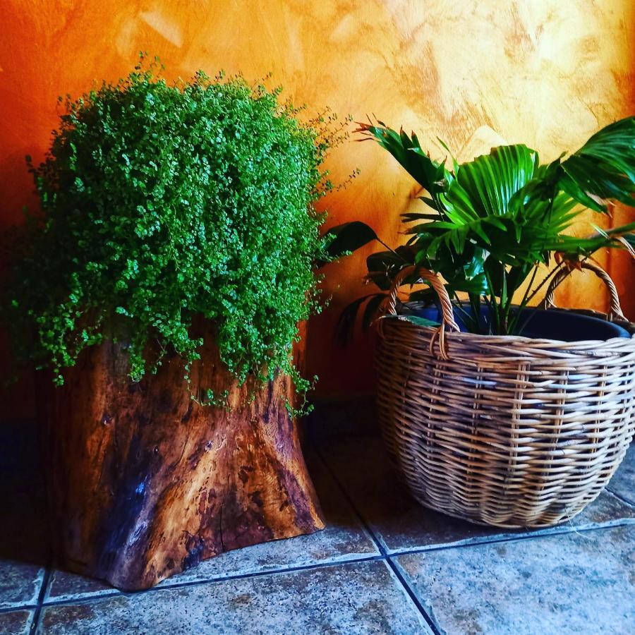 Errotazar Apartamento E Casa rural *