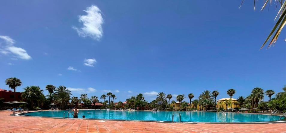 Casa Cayenne - Stylish With Ocean/dune View Apartamento *