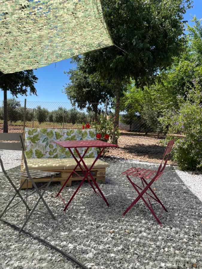 Chalet Tejoneras *