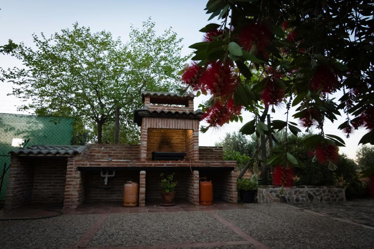 Entreolivos Сasa de vacaciones Villarrubia de los Ojos