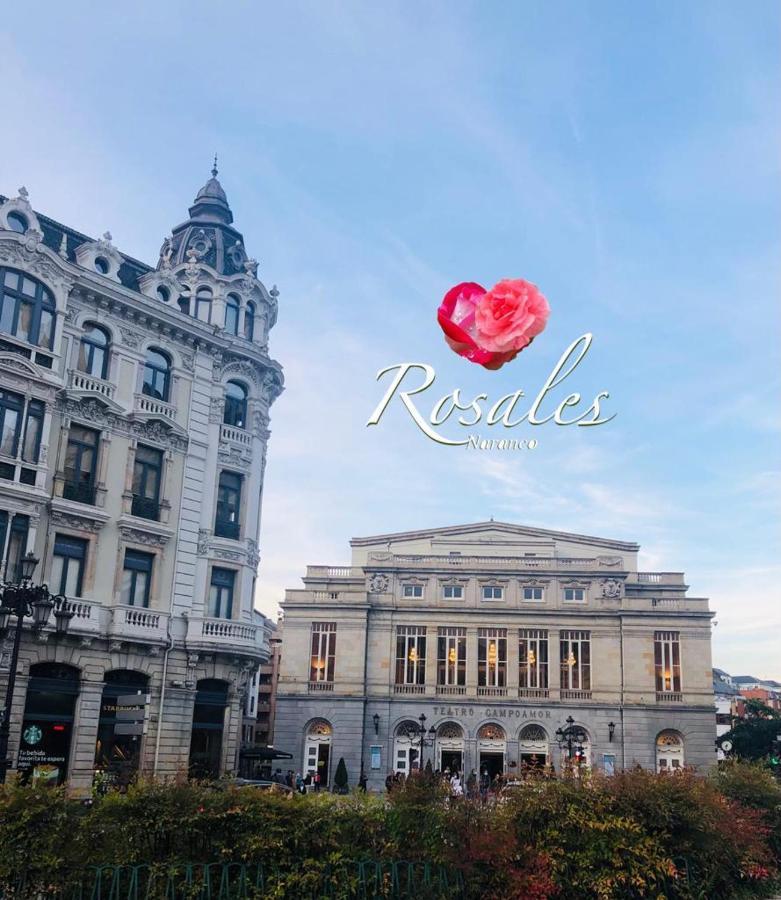 Rosales Y Jardin *