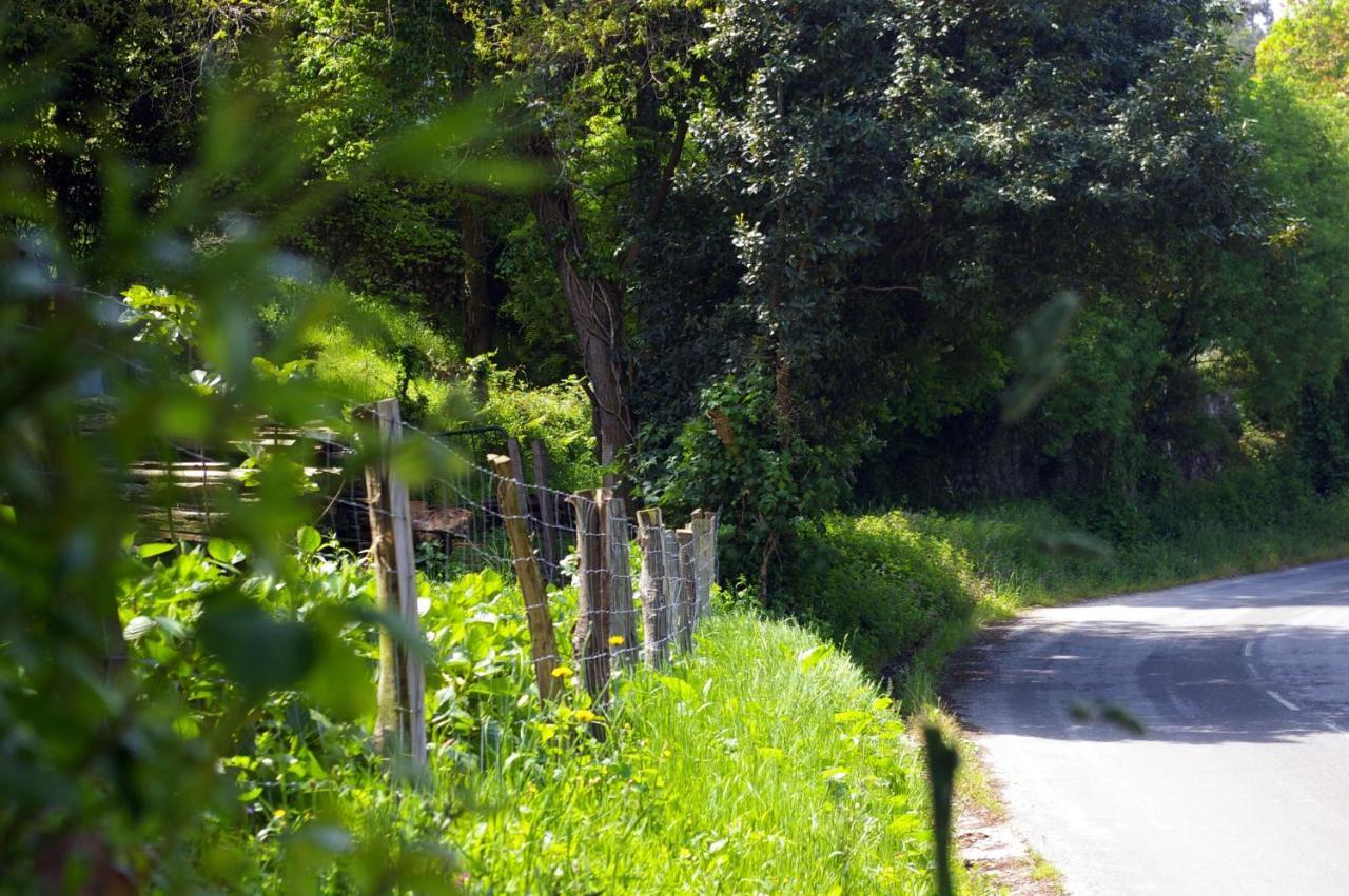 Country house Casa Pelayin