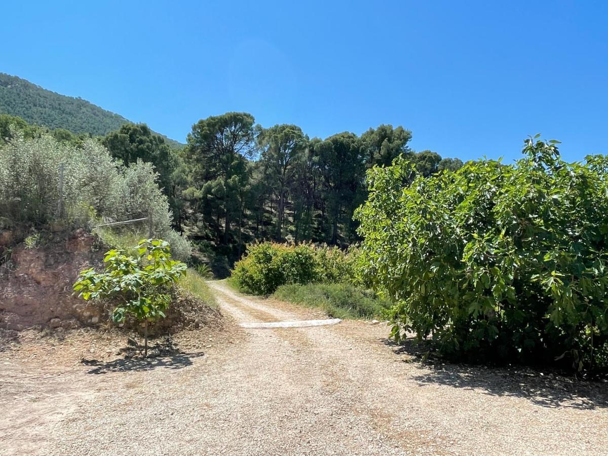 Casa Ramoncico. El Campillo Blanca