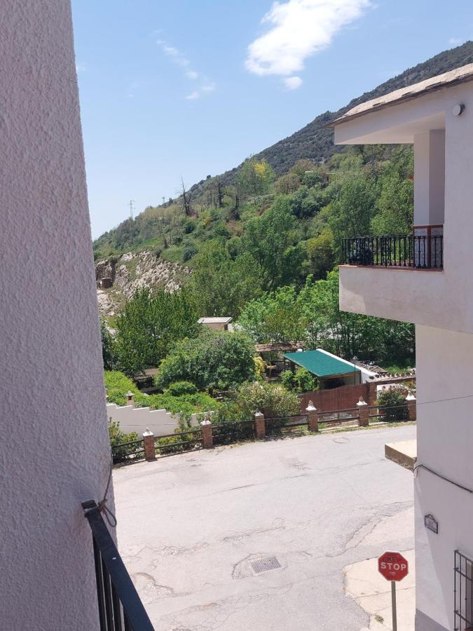 Apartment Rey Melchor *