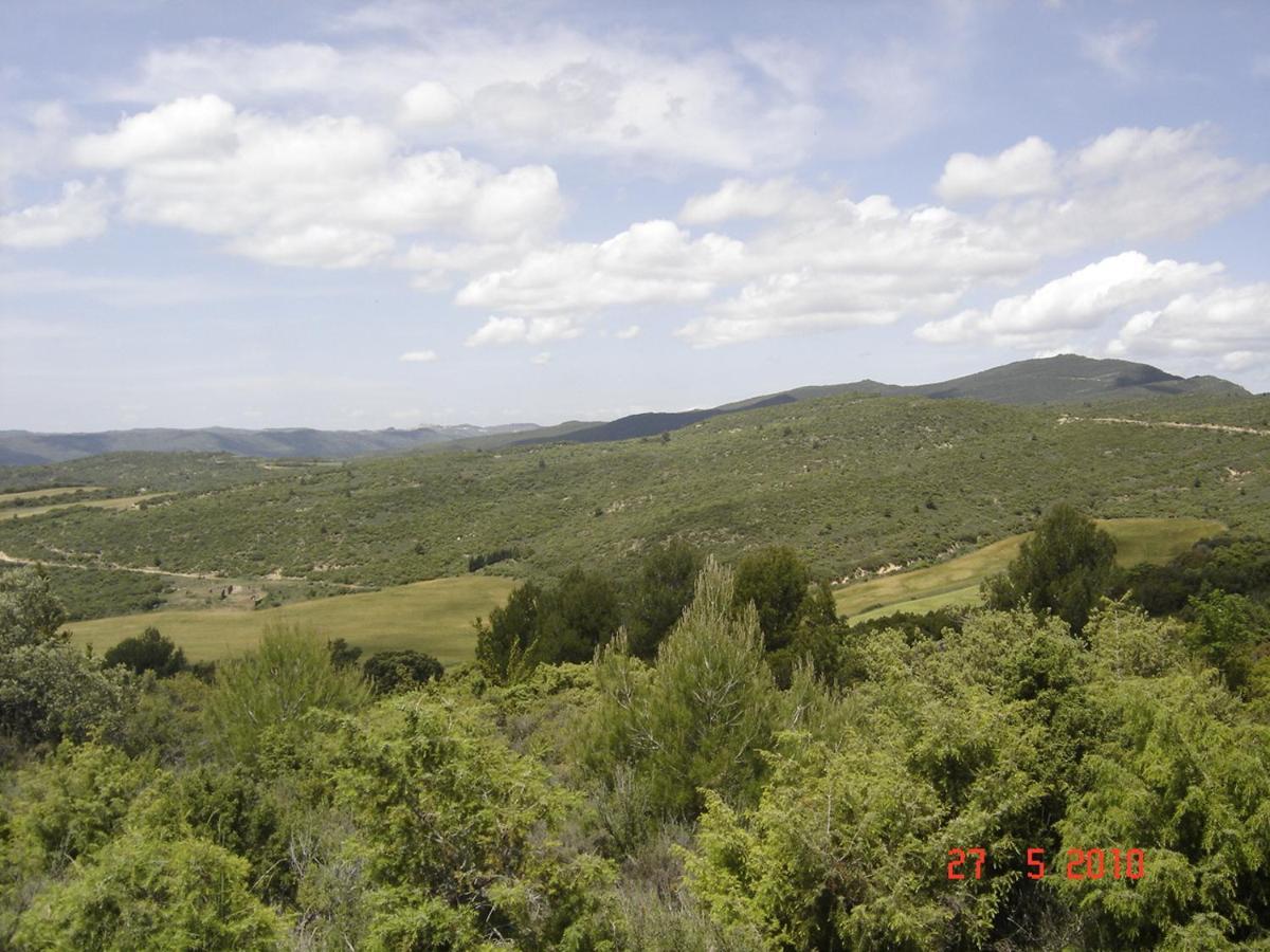 El Pinar De Bardena Holiday home Carcastillo