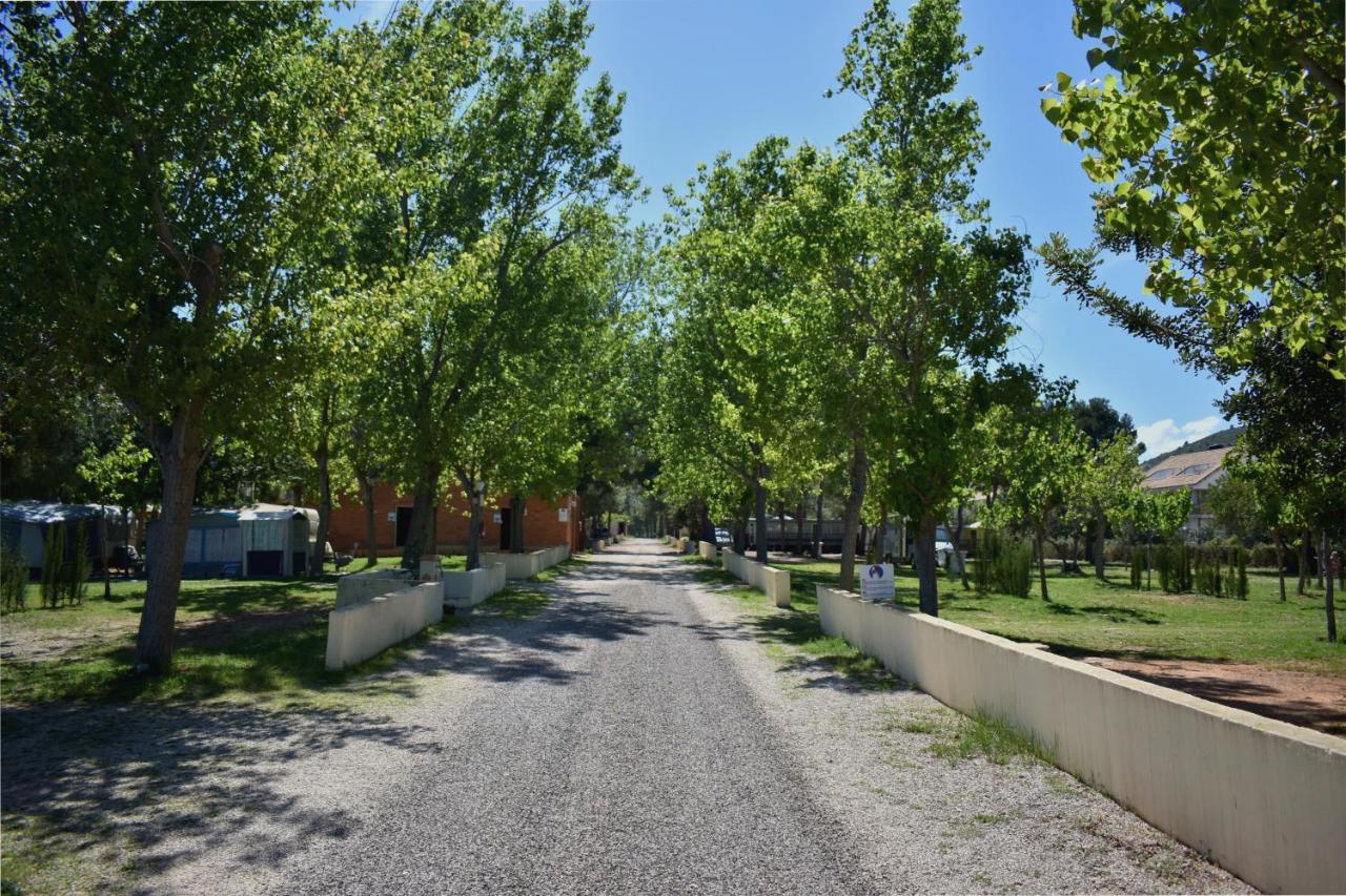 Campsite Sol D'or Peniscola