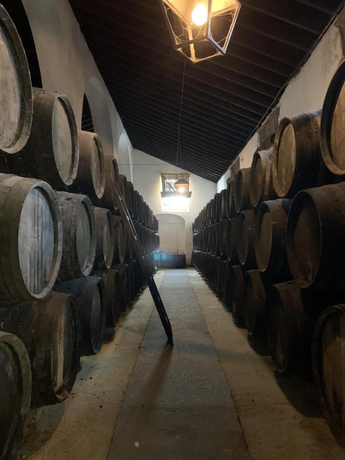 Casa Miguel 4 *