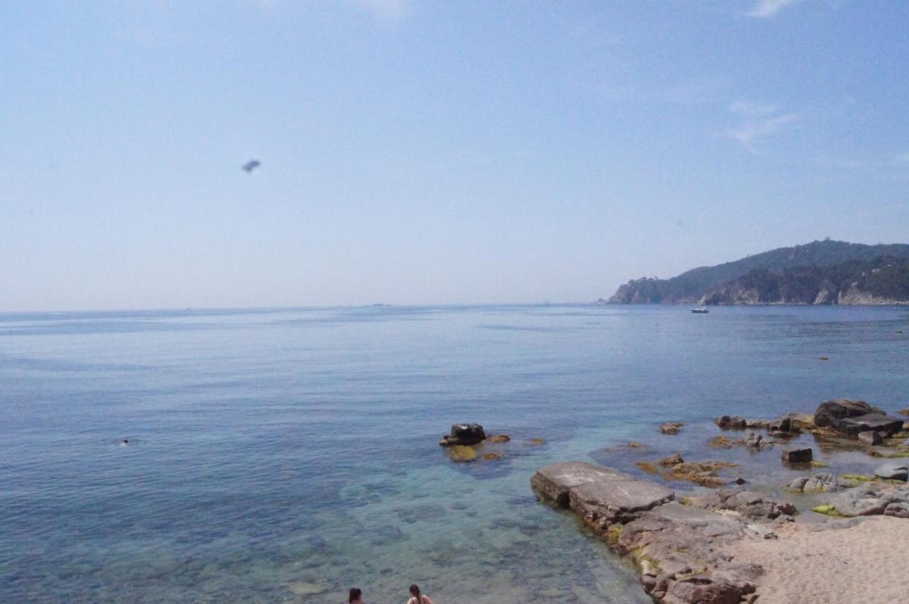 Apartamento Playa Canadell Mar G Primera Linea De Mar Con Terraza Calella De Palafrugell