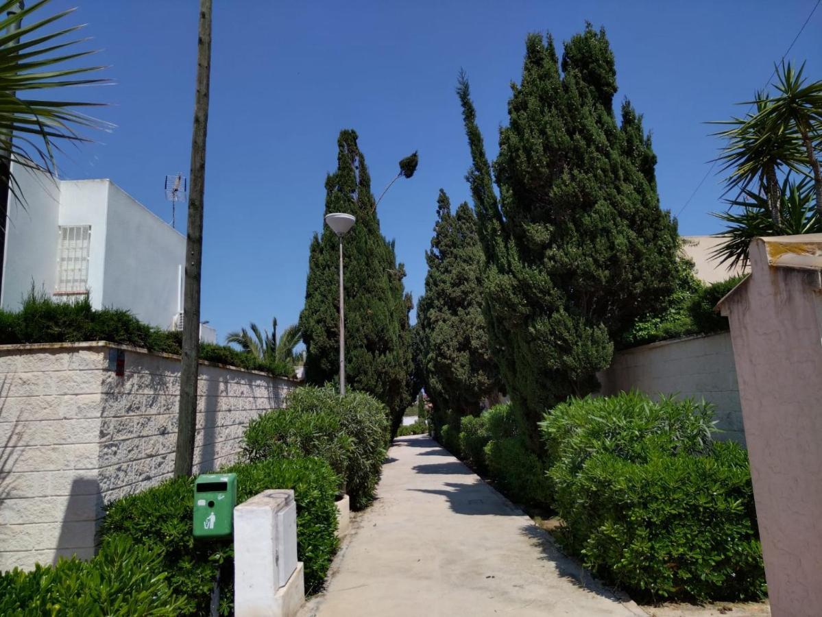 Apartamento Marina Sunbeach Mimosas