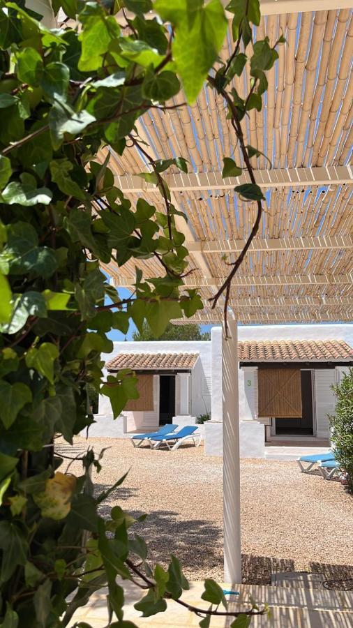 Chumbera Formentera *