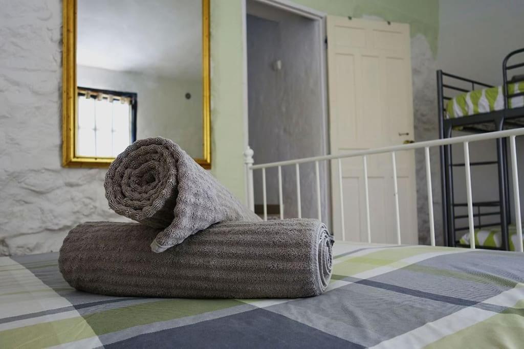 Guest house Olive Branch *