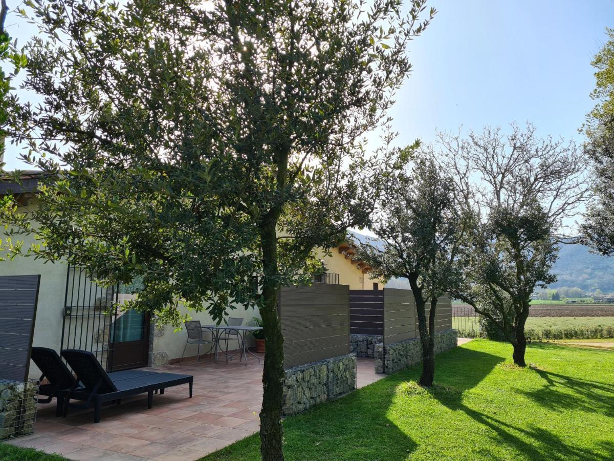 Casa rural Mas El Barber (adults Only) *