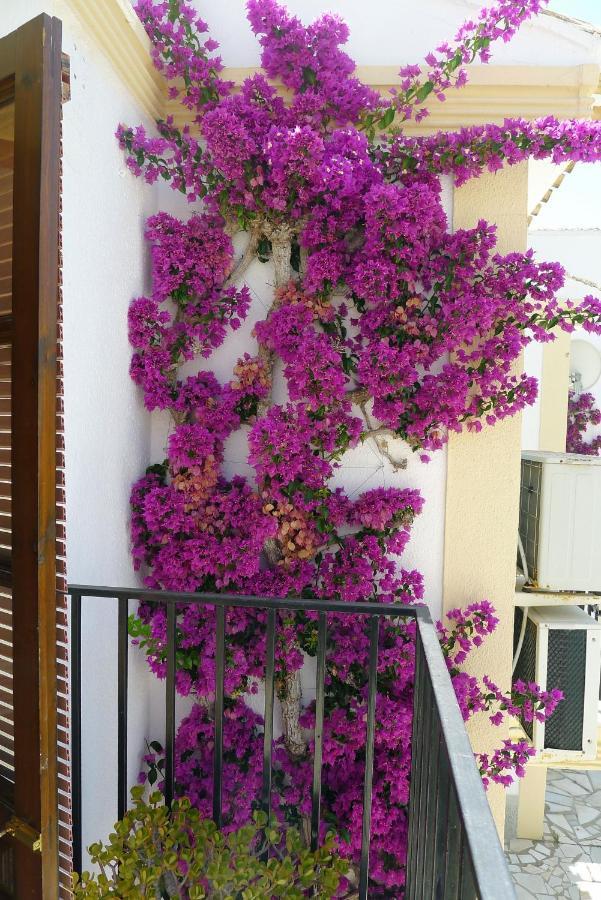 Sunny Coastal 1 Bed - Vera Coast: 2mins To Apartment Los Amarguillos