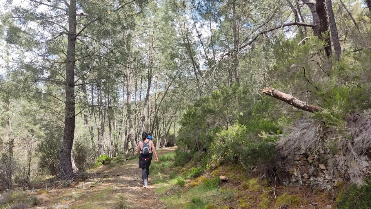 Rurales El Prado *