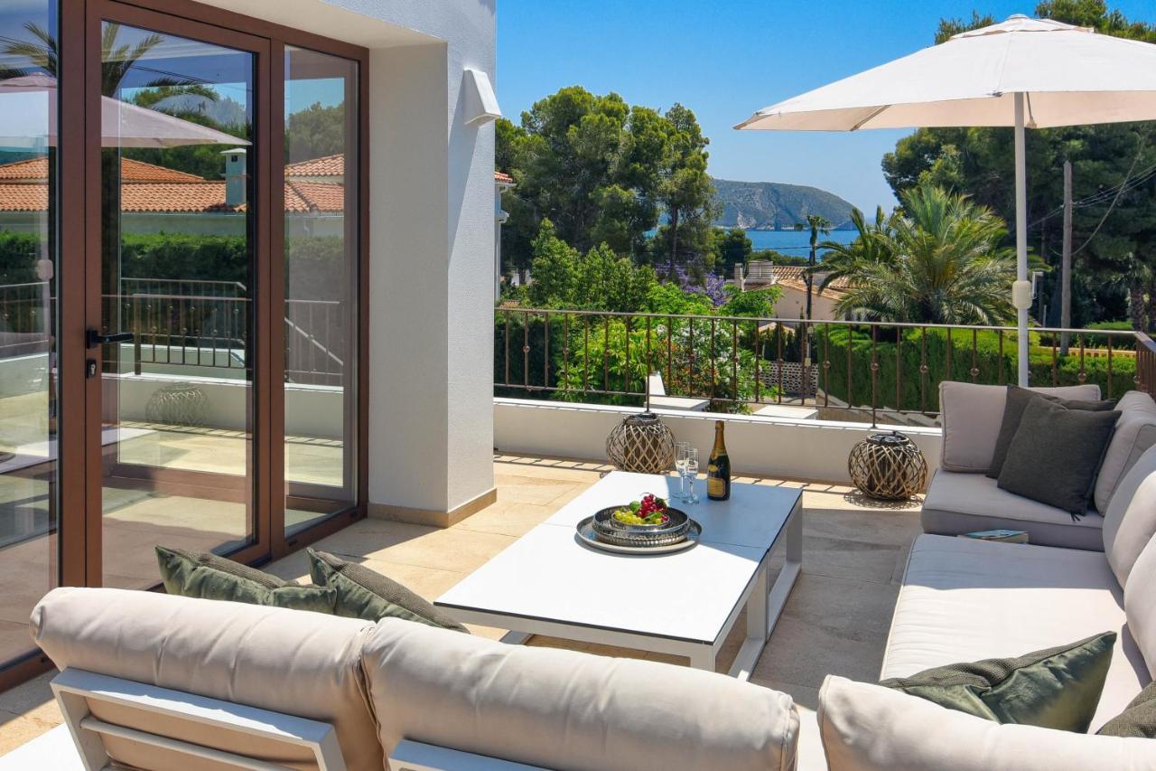 Amipa Moraira