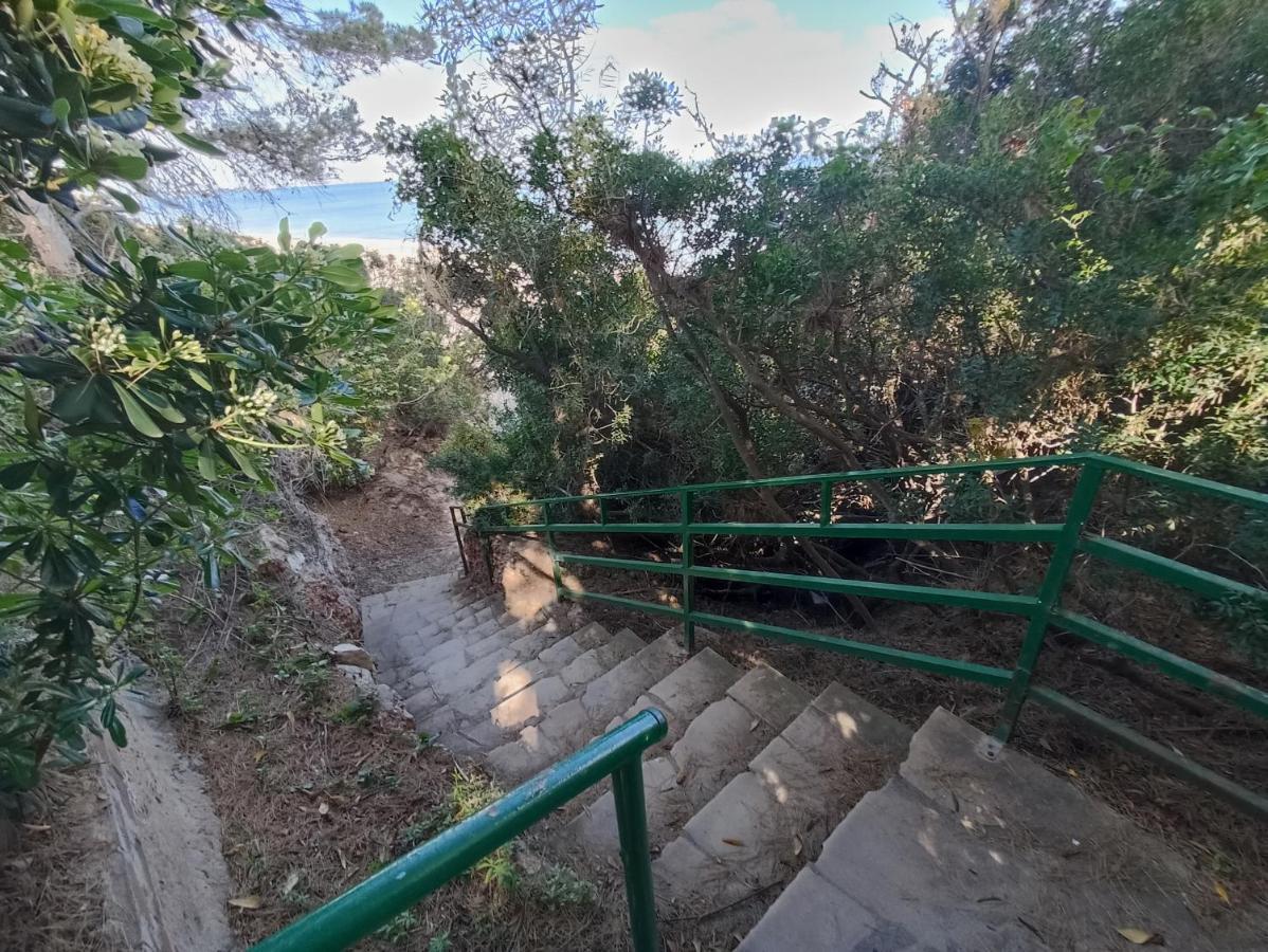 Panorama *