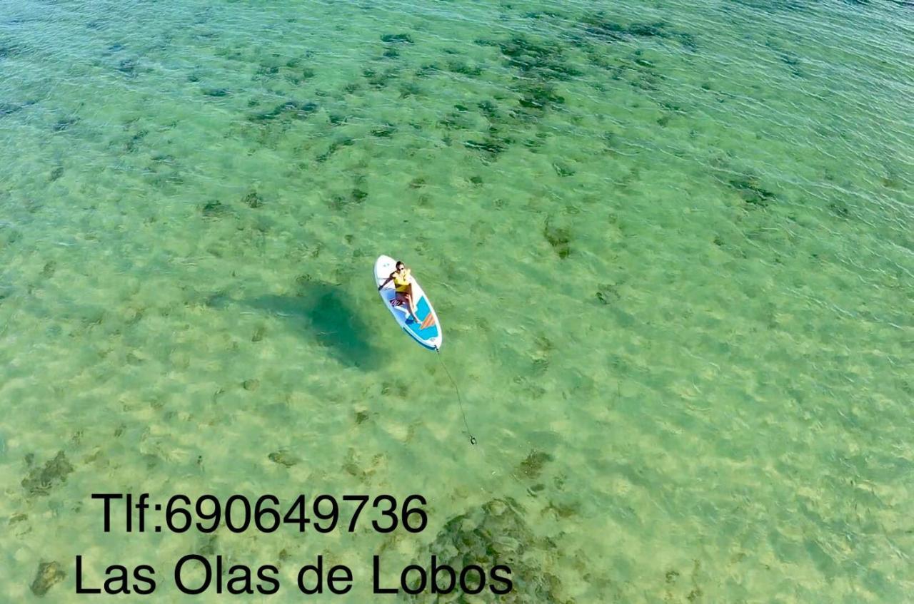 Apartamento Luna De Lobos Corralejo