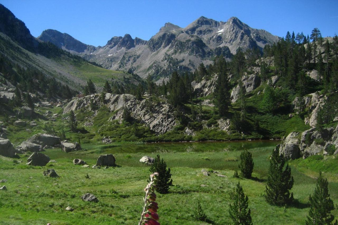 Saliecho Formigal