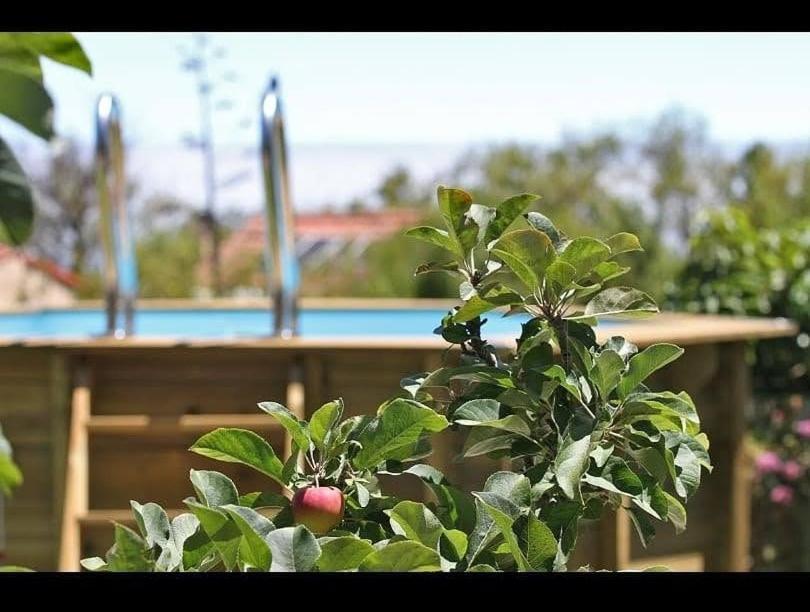 Casa Rosales With Pool & Wifi
