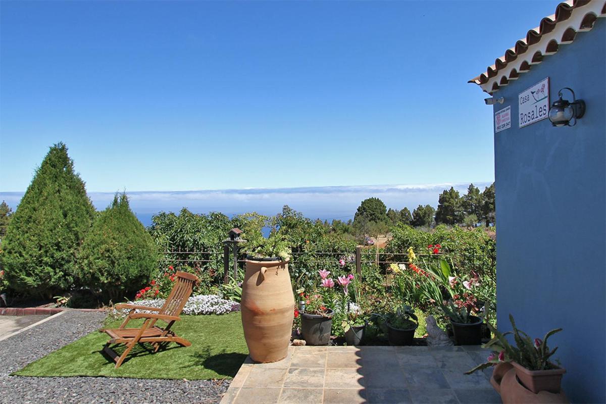 Casa Rosales With Pool & Wifi *