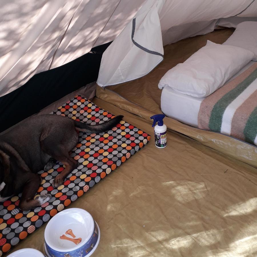 Camping Pachamama Ecocamping Alborache