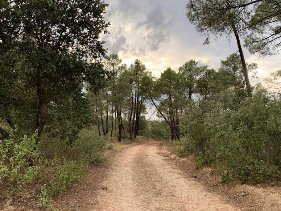 Casa La Cantina * La Horra