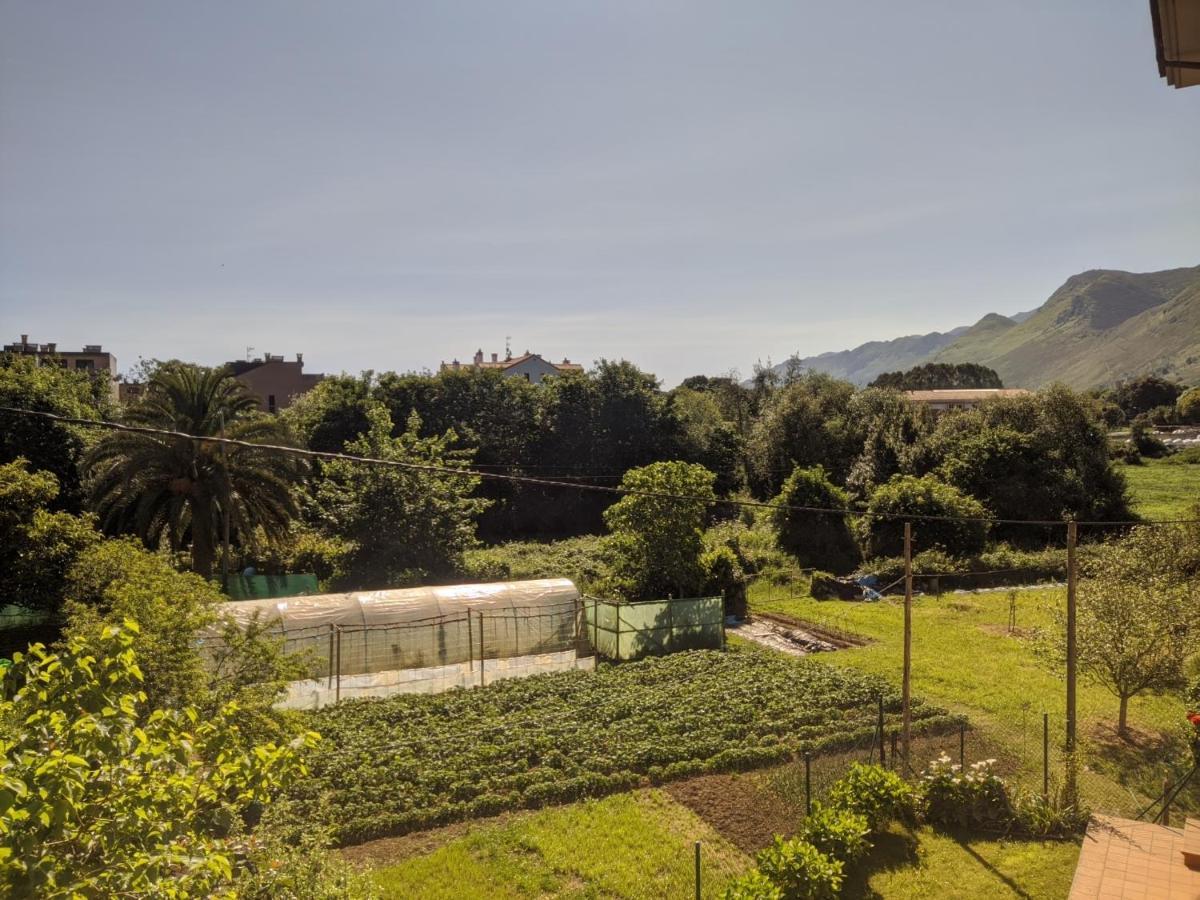 Apartamento Posada Turanzas