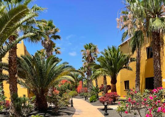 Casa Cayenne - Stylish With Ocean/dune View *