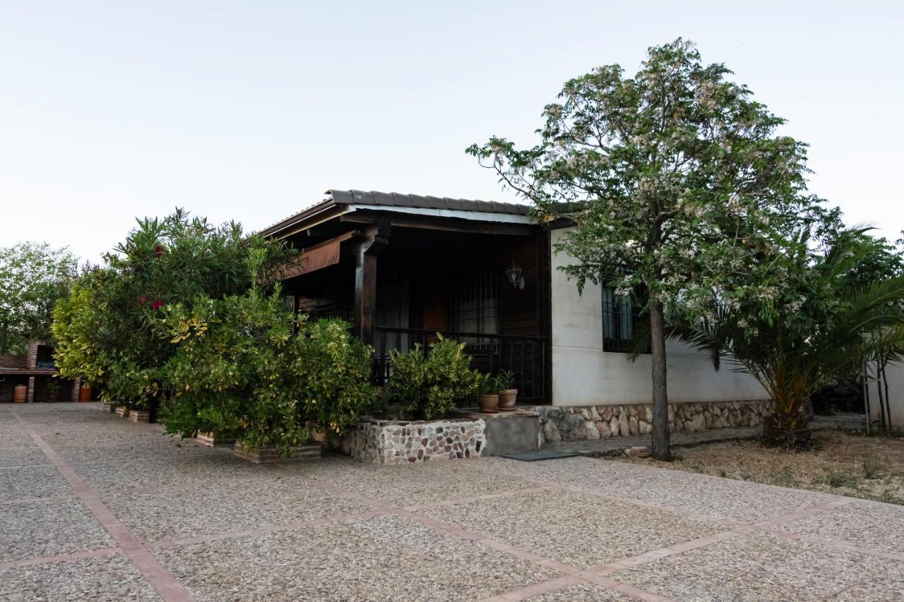 Entreolivos Сasa de vacaciones Villarrubia de los Ojos