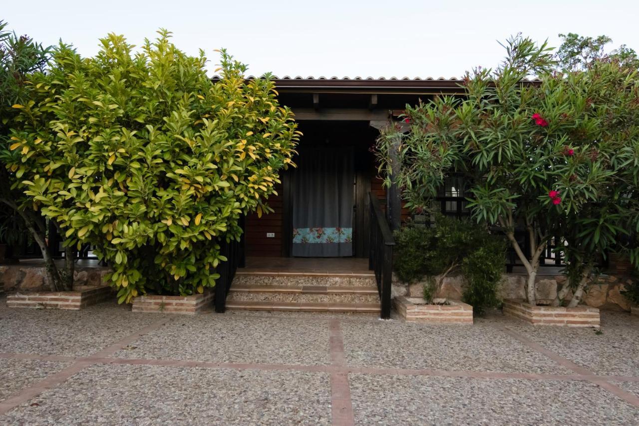 Entreolivos Сasa de vacaciones Villarrubia de los Ojos