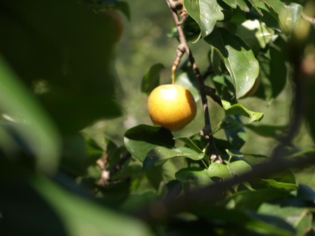 Rural Onbordi * Lesaka