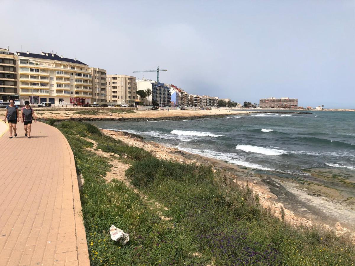 Nuevos Coloso Playa