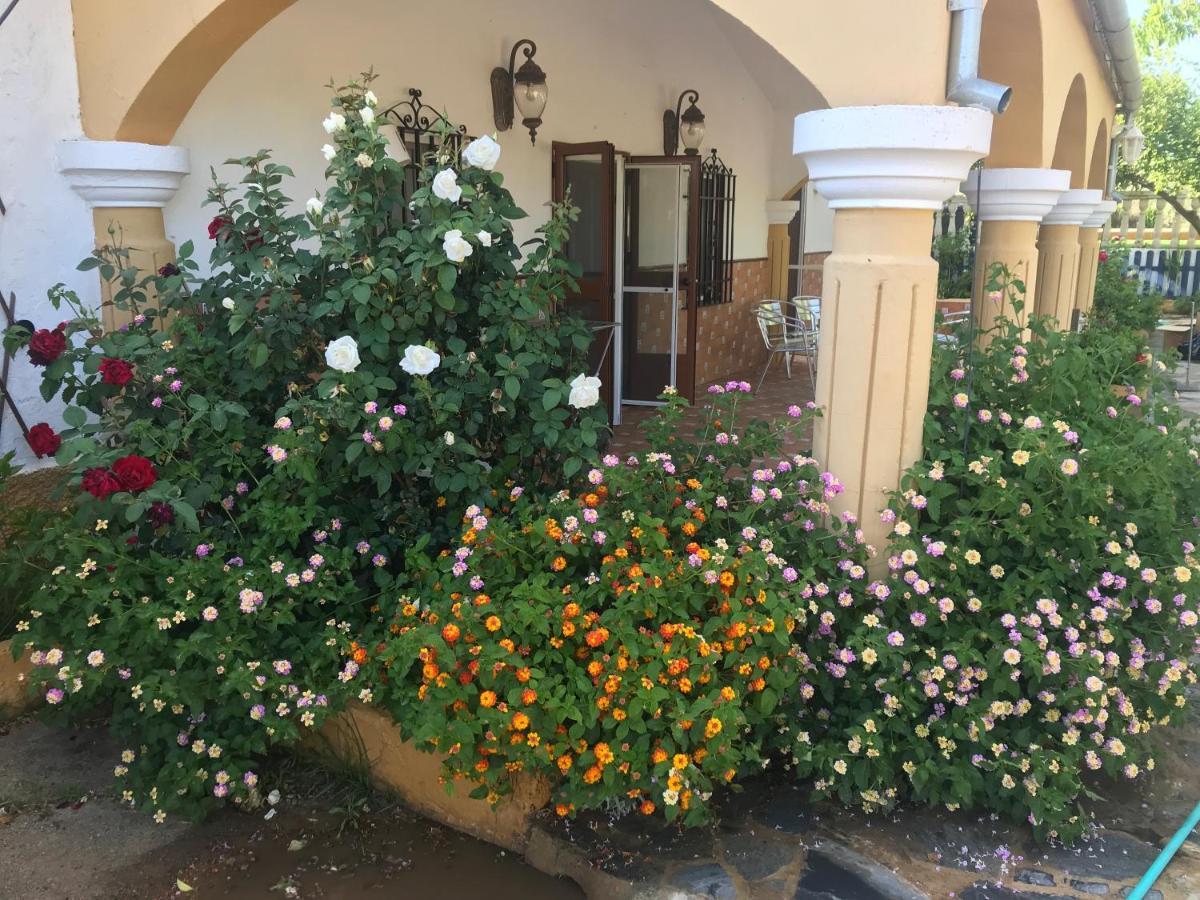 Сasa de vacaciones La Rosalía Setenil De Las Bodegas