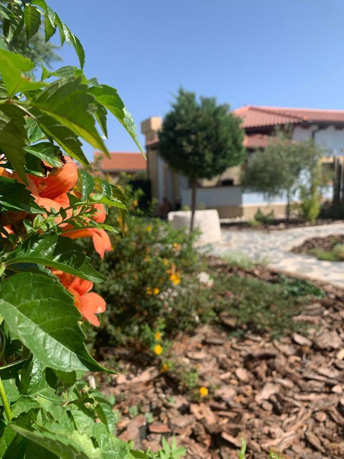 Gavias Holiday home