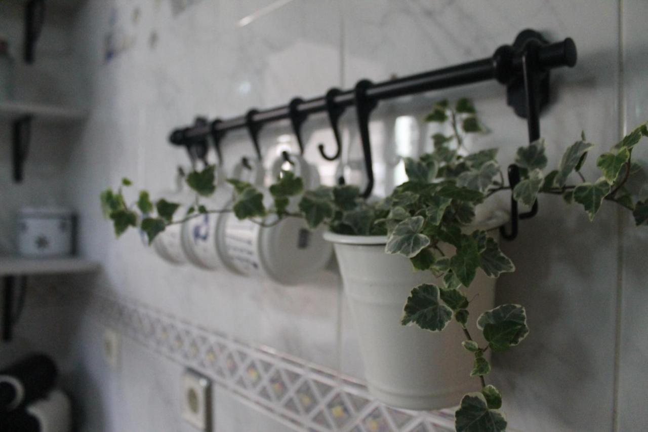 Hedera Apartamento Candeleda