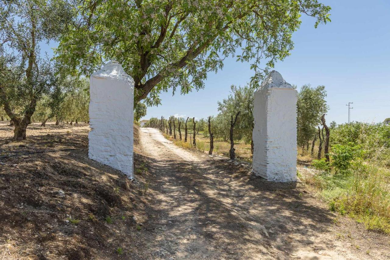 Hacienda San Antonio Marchena (Seville)