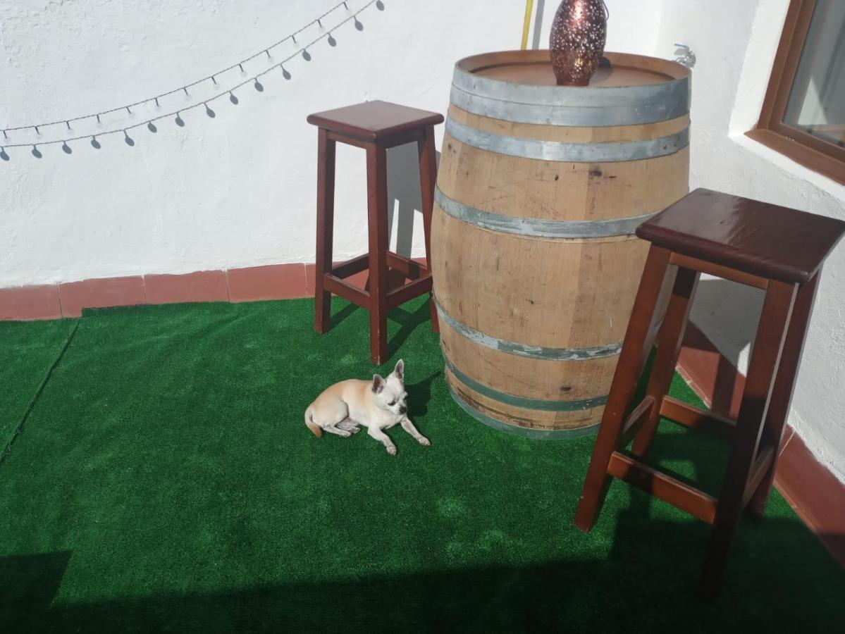 Cal Massana Сasa de vacaciones *