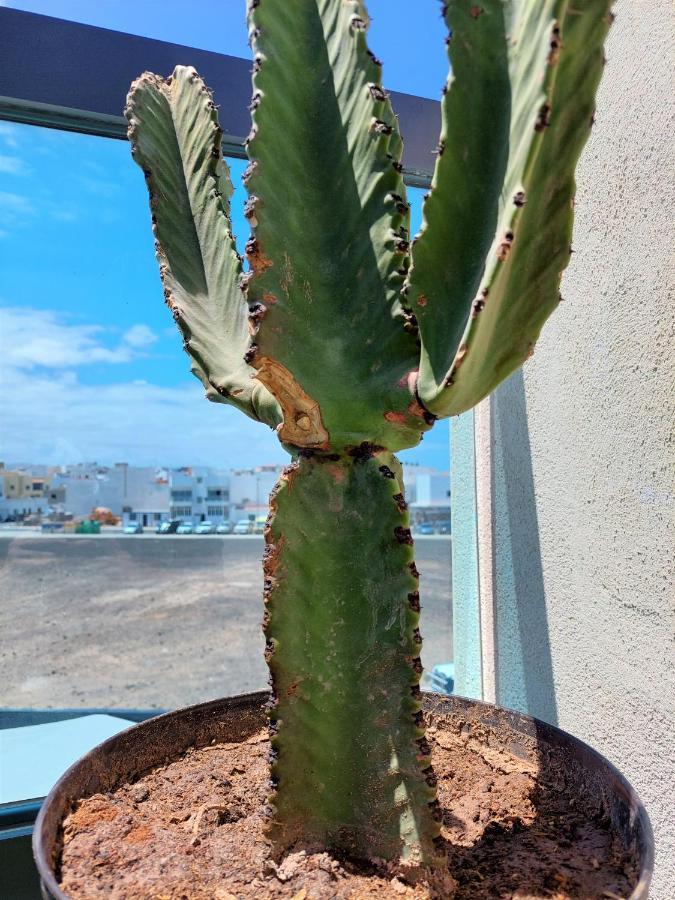Deep Blue Iii By Sea There Fuerteventura Apartamento *