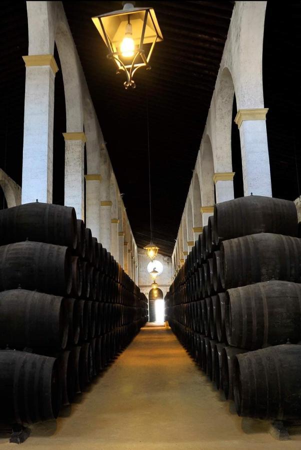Sherryflat Palmeras Jerez de la Frontera