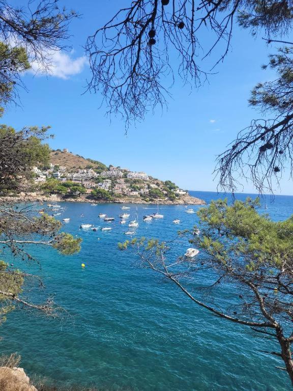 Cala Montgo Apartment L'Escala