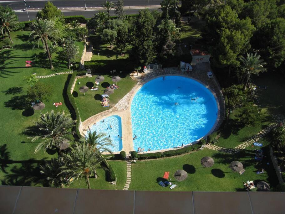 Apartment La Chicharra Alicante