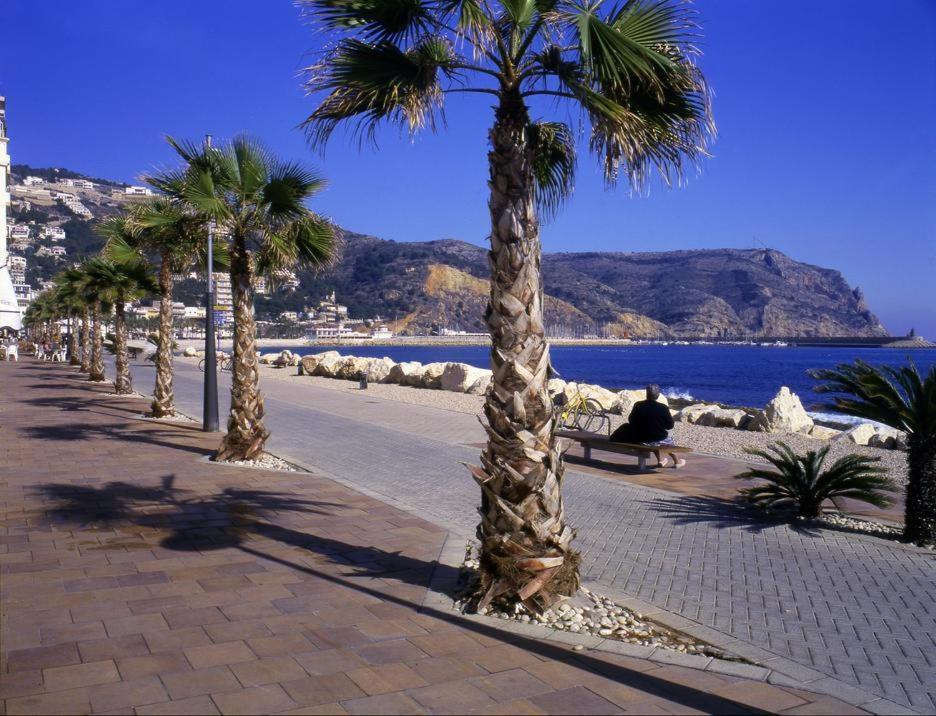 Estudio En Sunny Port. Live It Costablanca Jávea