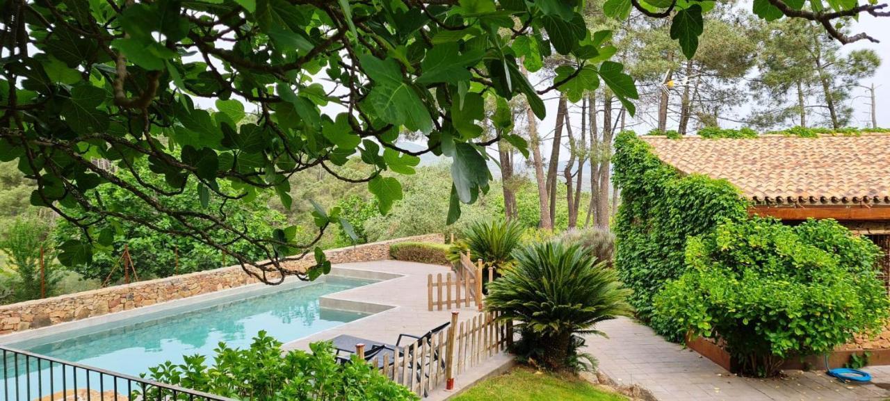 Casa rural Sierra De Aguafría. El Robledillo