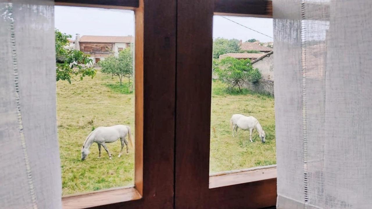 Casa rural Casa Dolfín - Tu Hogar En La Costa Del Paraíso *