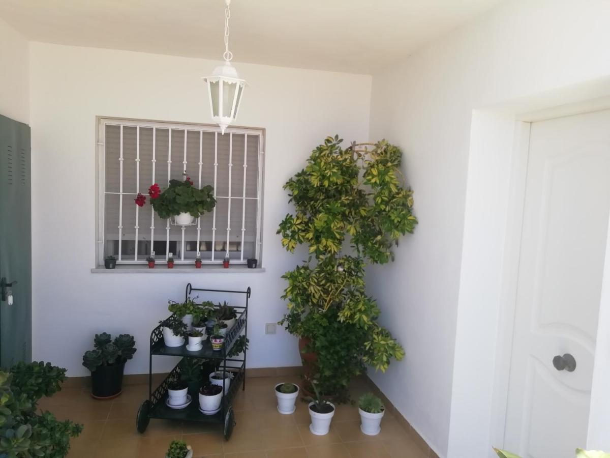 Gemelas De Terreros 1 Holiday home *