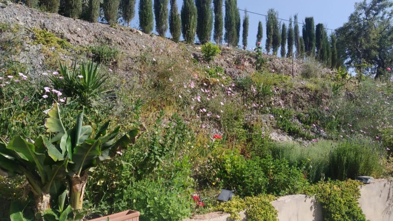 Loft Rural Molinillo Comares