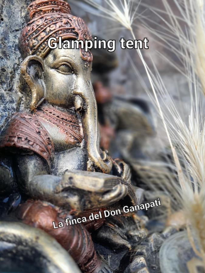 Luxury tent La Del Don Ganapati